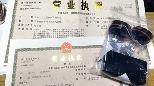 上海辦營業(yè)執(zhí)照所需證件與材料全指南(2025年最新版)